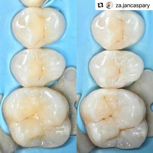 Image post by @ripeglobal on Instagram