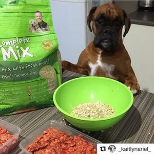 Image post by @bestforpetsmelb on Instagram