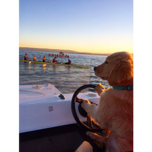 Image post by @stanfordwcrew on Instagram