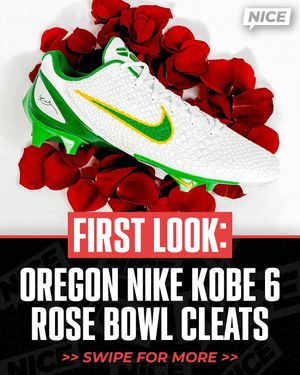 Image post by @nicekicksgridiron on Instagram