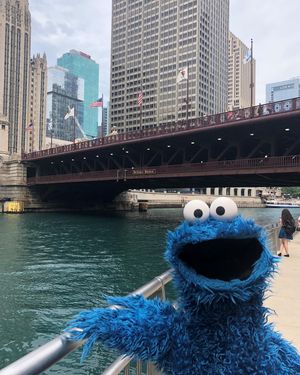 Image post by @sesamestreet on Instagram