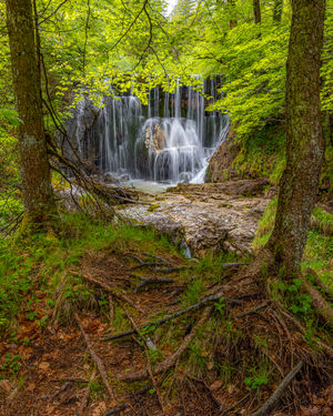 Image post by @cristan.nature.photography on Instagram