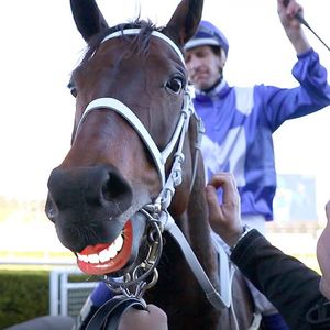 Image post by @australianturfclub on Instagram