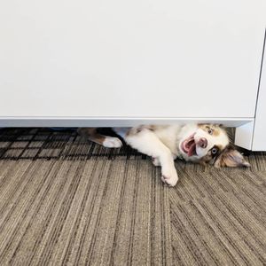 Image post by @google on Instagram
