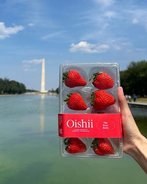 Image post by @oishii.berry on Instagram