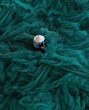 Image post by @fubiz on Instagram