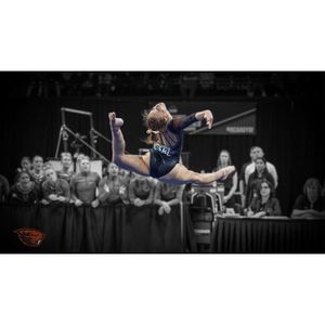 Image post by @beavergym on Instagram