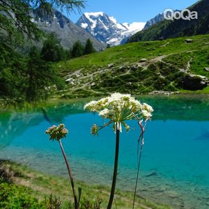 Image post by @qoqa_schweiz on Instagram