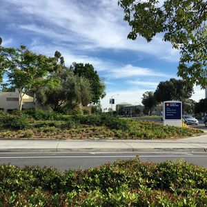 Image post by @asicsuf on Instagram