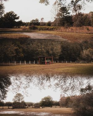 Image post by @brandonlarochelleproductions on Instagram