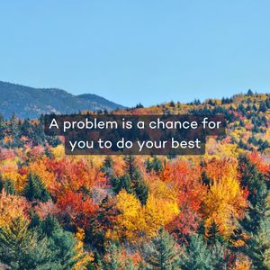 Image post by @natracure on Instagram