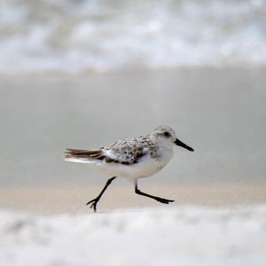 Image post by @nationalparkservice on Instagram