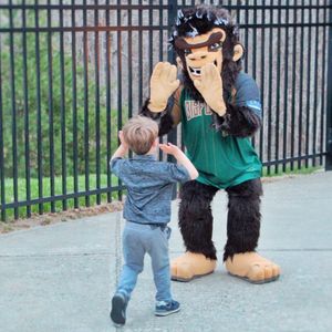 Image post by @bigfootsbaseball on Instagram