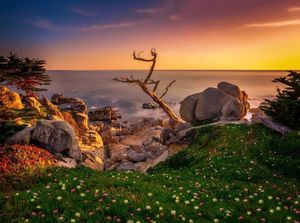 Image post by @pebblebeachresorts on Instagram