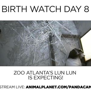 Image post by @animalplanet on Instagram