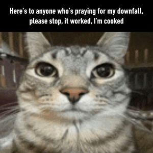 Image post by @9gag on Instagram