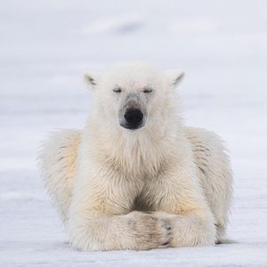 Image post by @discovery on Instagram