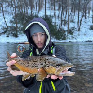 Image post by @slimfishes on Instagram