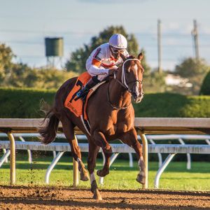 Image post by @spendthriftfarm on Instagram