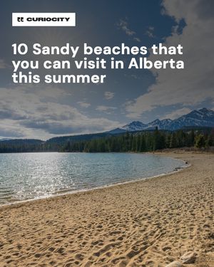 Image post by @curiocitycalgary on Instagram