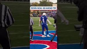 Video post by @cfbonfox on YouTube