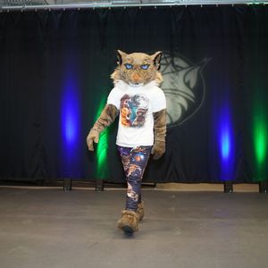 Image post by @lynxprowl on Instagram