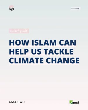 Image post by @amaliah_com on Instagram