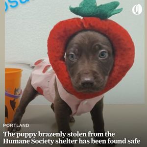 Image post by @theoregonian on Instagram