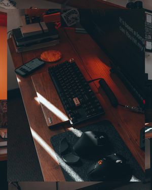 Image post by @tielerfriedline on Instagram
