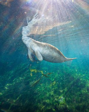 Image post by @natgeo on Instagram