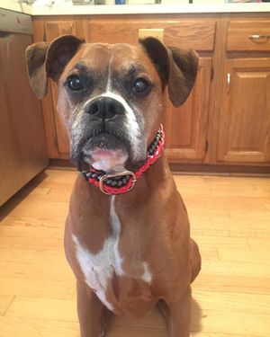 Image post by @theheartspacenj on Instagram