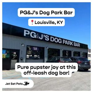 Image post by @jetsetpets on Instagram