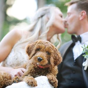 Image post by @maggiesotterodesigns on Instagram