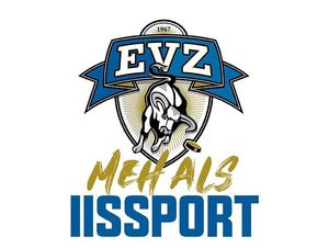 Image post by @official_evz on Instagram