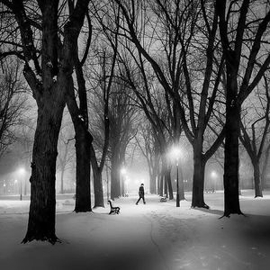 Image post by @mtl_unscripted on Instagram