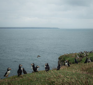 Image post by @liammartinfilm on Instagram