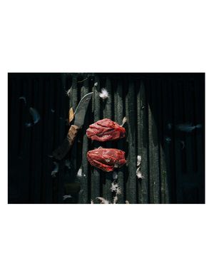 Image post by @natereimers on Instagram