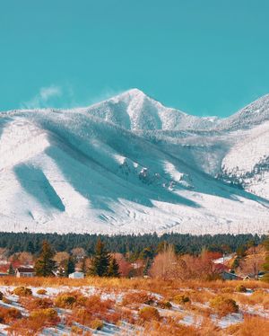 Image post by @nauflagstaff on Instagram