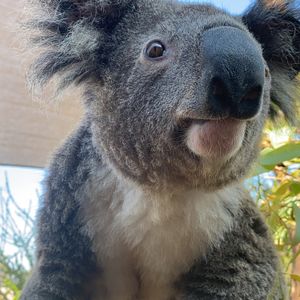 Image post by @discovery on Instagram