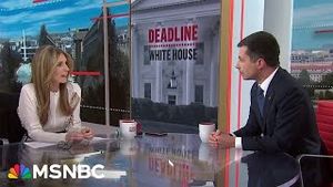 Video post by @msnbc on YouTube