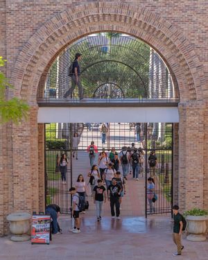 Image post by @utrgv on Instagram