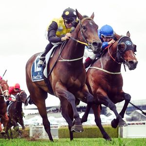 Image post by @australianturfclub on Instagram