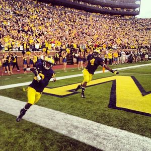 Image post by @umichathletics on Instagram