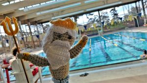 Image post by @ucsdadmissions on Instagram