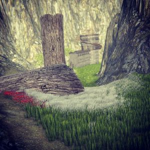 Image post by @everember on Instagram