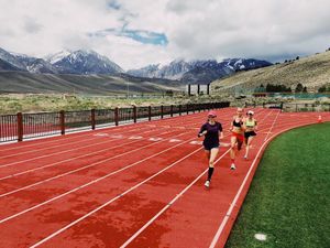 Image post by @steeple_squigs on Instagram