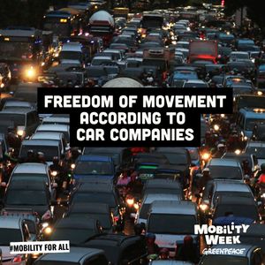 Image post by @greenpeace on Instagram