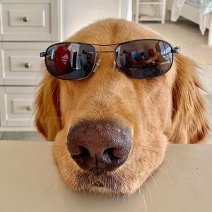 Image post by @thegoldenratio4 on Instagram
