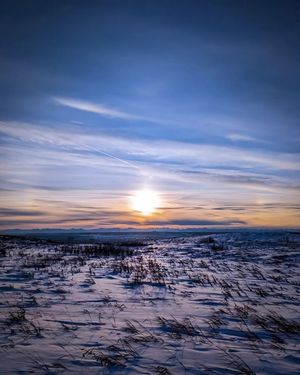 Image post by @cityofcalgary on Instagram