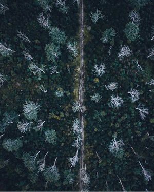Image post by @dronepals on Instagram